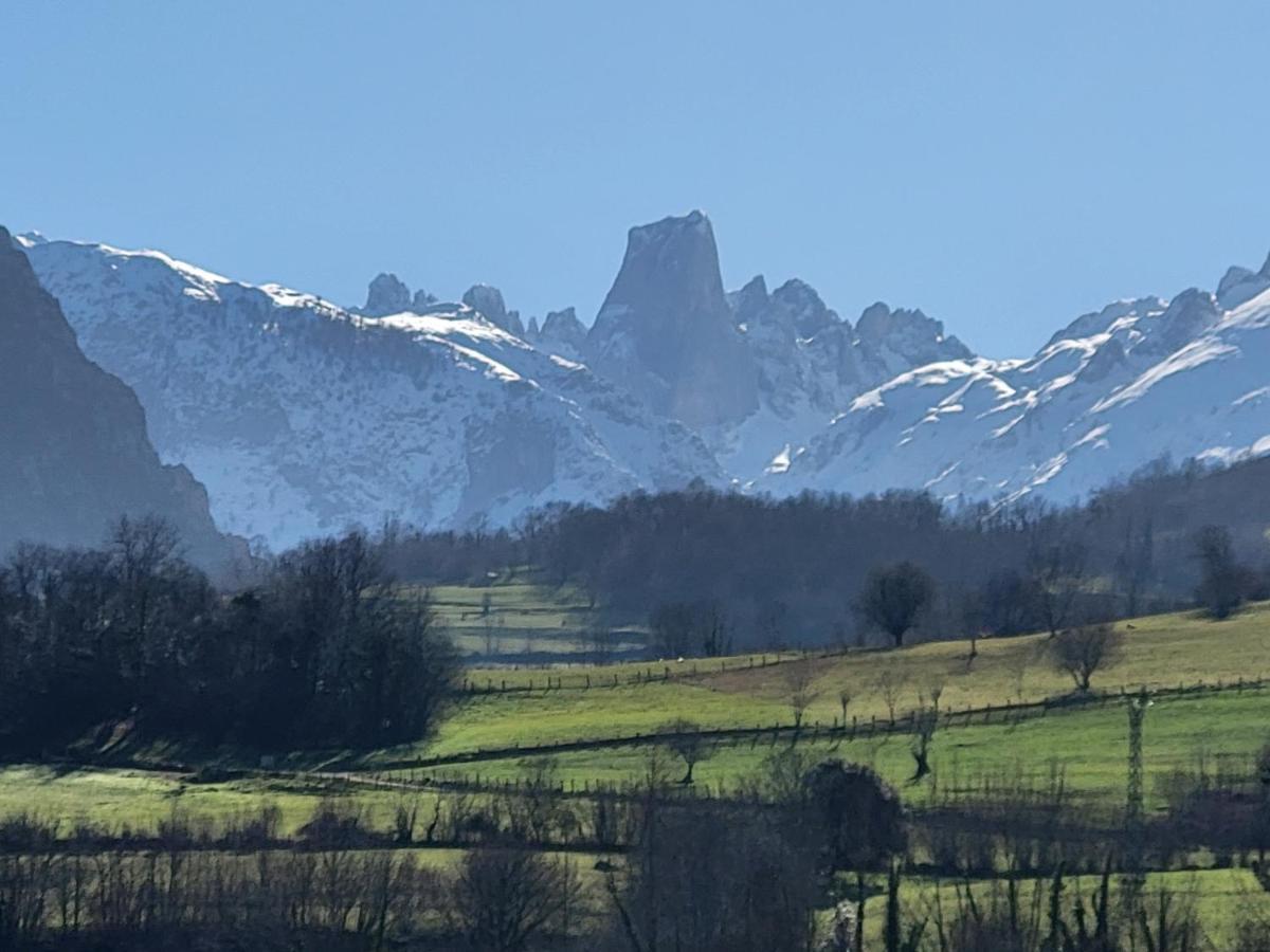 Ribeles Luxury Flat Apartment Arenas De Cabrales Exterior foto